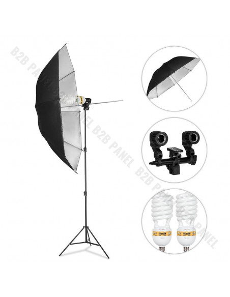 GlareOne Continuous Light Kit SUNNY SILVER-1250
