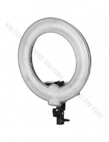 GlareOne Continuous Light Kit SUNNY RING-45