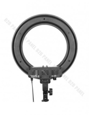 GlareOne Continuous Light Kit SUNNY RING-45