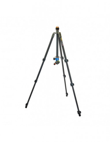 3 Legged Thing Punks Patti