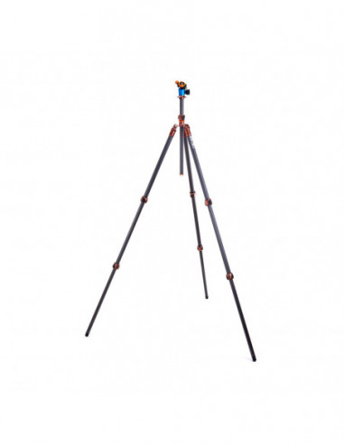 3 Legged Thing Winston 2.0 Bronze