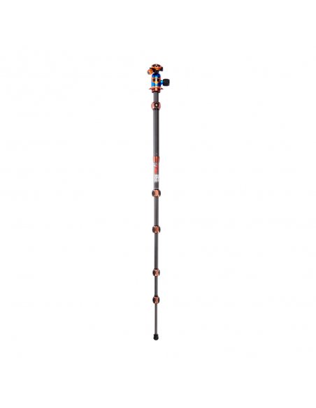 3 Legged Thing Ray Bronze