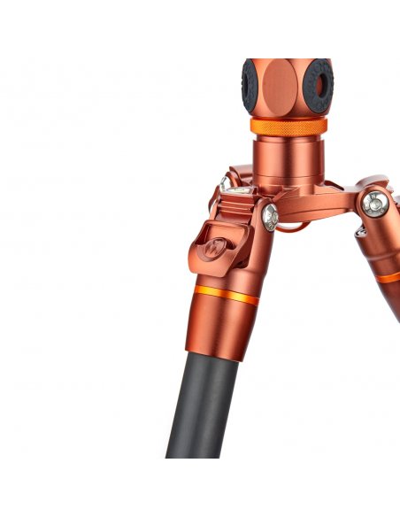 Statyw 3 Legged Thing Ray Bronze, włókna węglowe, 5-sekcji, udźwig 30kg, głowica Airhed VU