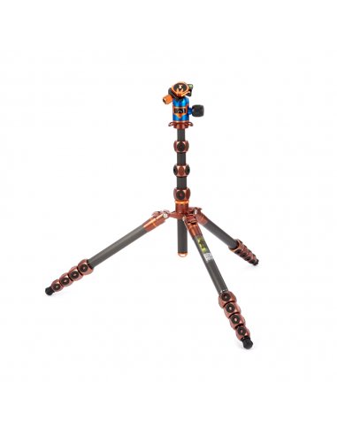 3 Legged Thing Bucky Bronze