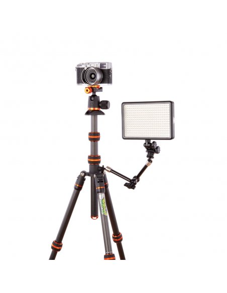 3 Legged Thing Punks Brian Black 2.0