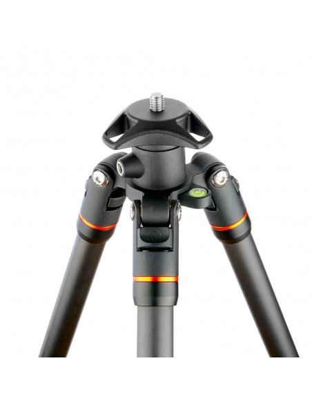 3 Legged Thing Punks Brian Black 2.0