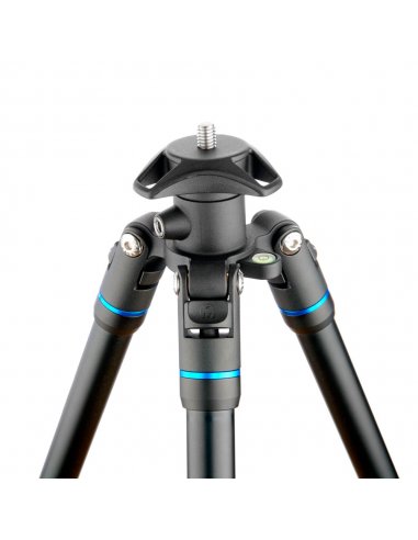 3 Legged Thing Punks Travis Blue 2.0