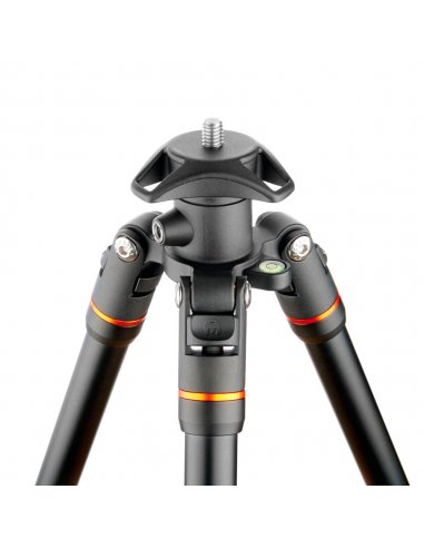 3 Legged Thing Punks Corey Black 2.0